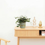 Product afbeelding 2