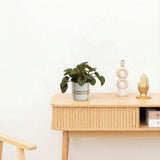 Product afbeelding 2