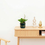 Product afbeelding 2