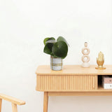 Product afbeelding 2