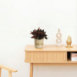 Product afbeelding 2