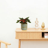 Product afbeelding 2