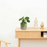 Product afbeelding 2