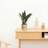 Product afbeelding 2