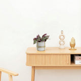 Product afbeelding 2