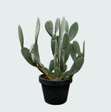Product afbeelding 3
