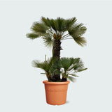 Product afbeelding 1