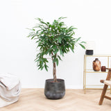 Product afbeelding 1