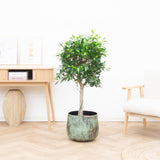 Product afbeelding 1