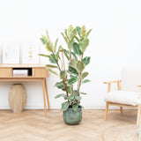 Product afbeelding 1