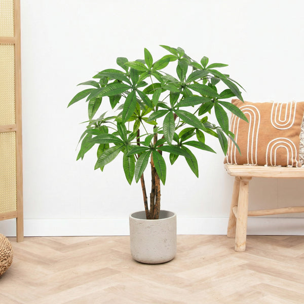 Kunst Pachira Aquatica - 85cm