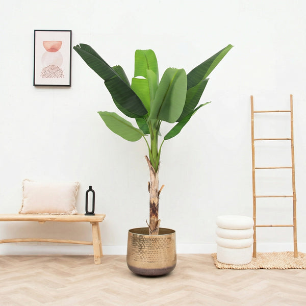 Kunst Bananenplant Musa - 190cm
