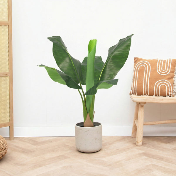 Kunst Bananenplant Musa - 80cm kopen bij Green Bubble