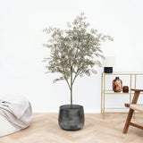 Product afbeelding 1