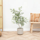 Product afbeelding 1