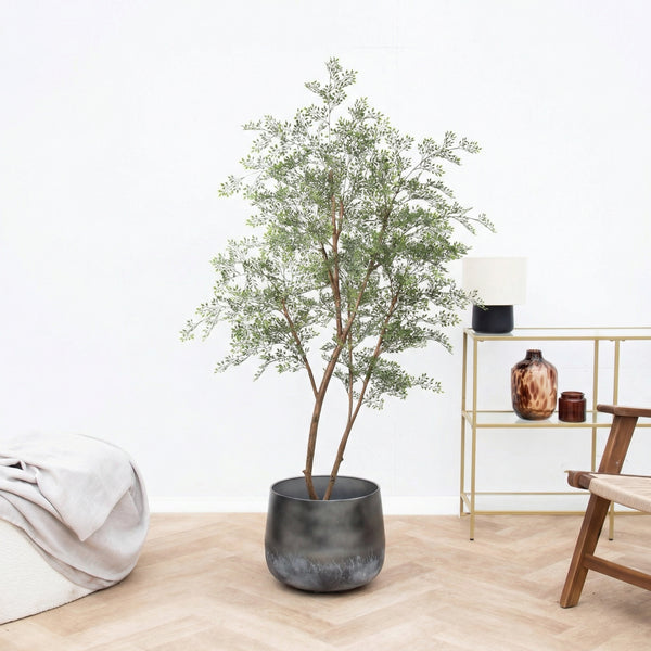Kunst Cassia boom - 180cm
