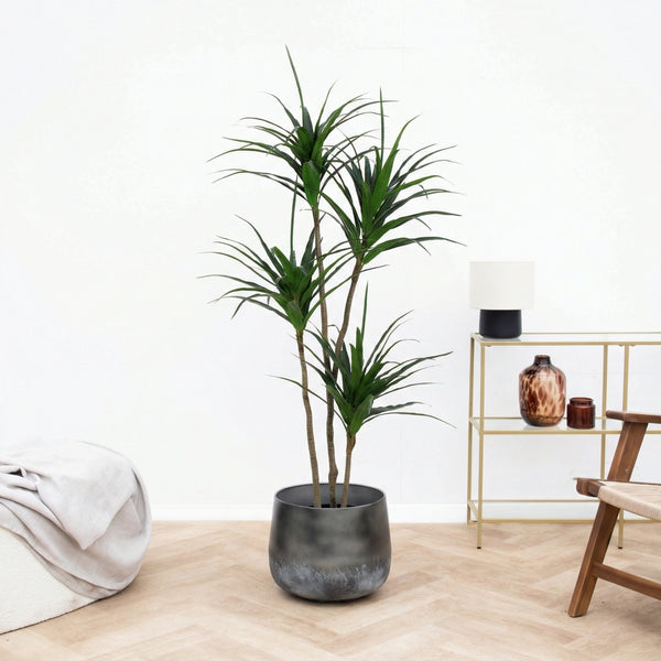 Kunst Dracaena - 165cm kopen bij Green Bubble