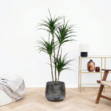 Product afbeelding 1