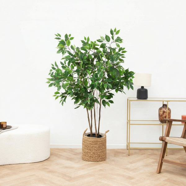 Kunst Ficus Benjamina - 130cm kopen bij Green Bubble