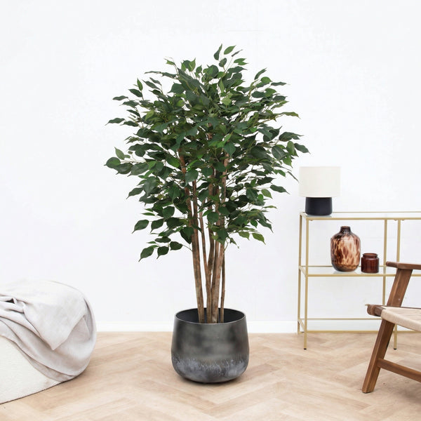 Ficus Benjamina artificiel - 150 cm
