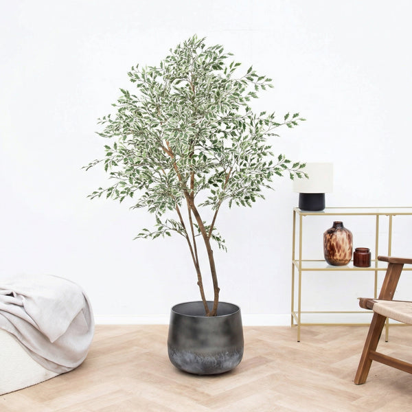 Kunst Ficus Benjamina variegata - 185cm