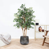 Product afbeelding 1