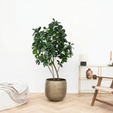 Product afbeelding 1