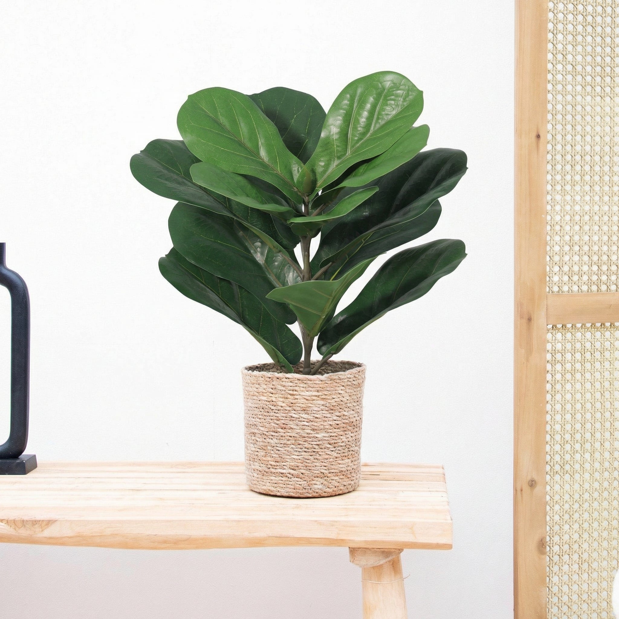 Kunstpflanze Ficus lyrata – 40 cm