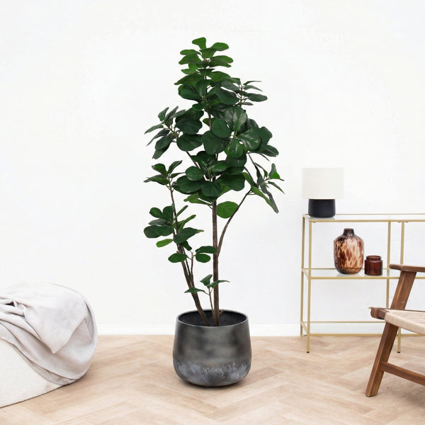 Kunst Ficus lyrata vertakt - 150cm