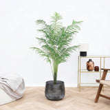 Product afbeelding 1