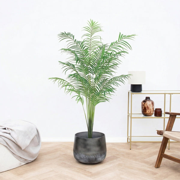 Artificial Kentia palm - 170cm