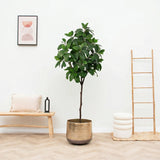 Product afbeelding 1