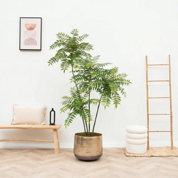 Kunst Mahonia - 185cm