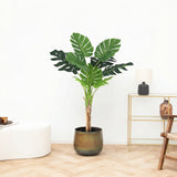 Product afbeelding 1