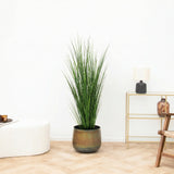 Product afbeelding 1