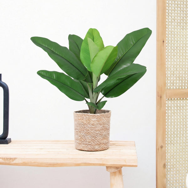 Kunst Philodendron Jungle King - 45cm