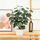 Product afbeelding 1
