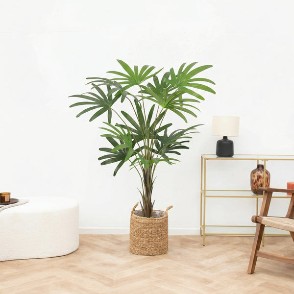 Kunst Rhapis Excelsa - 120cm kopen bij Green Bubble