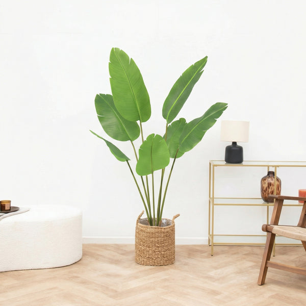 Artificial Strelitzia Nicolai - 135 cm