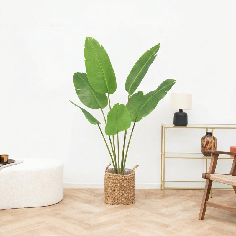 Künstliche Strelitzia Nicolai | 135cm