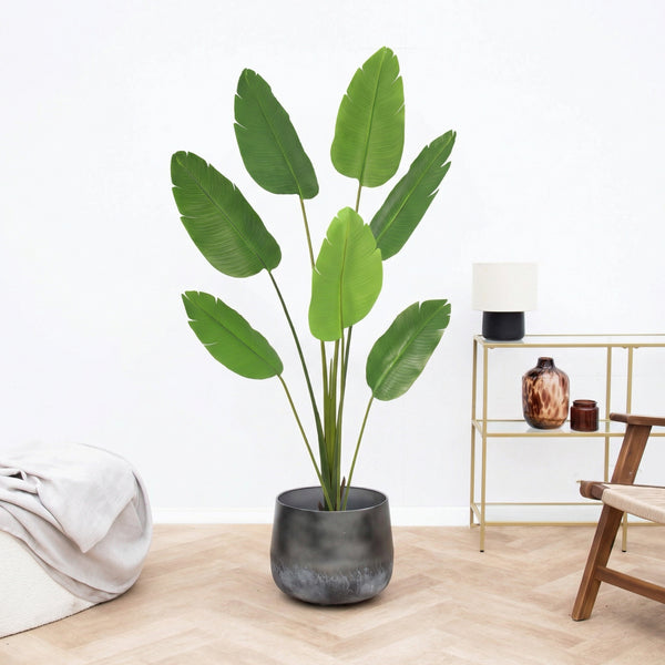 Kunst Strelitzia Nicolai - 170cm
