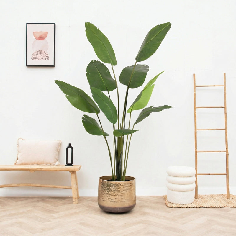 Künstliche Strelitzia Nicolai | 180cm