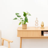 Product afbeelding 1