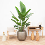Product afbeelding 1