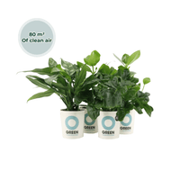 Ogreen - Easy Care