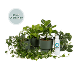 Product afbeelding 1