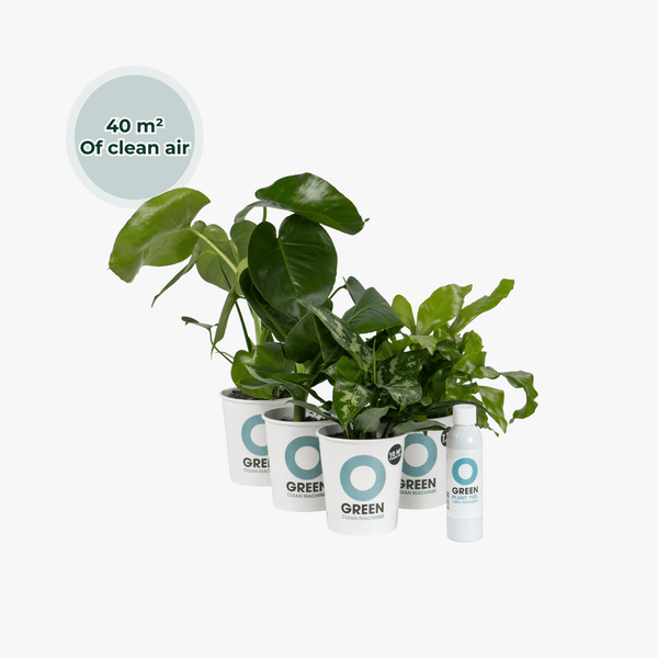 Ogreen - Indoor Jungle