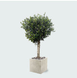 Product afbeelding 2