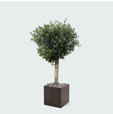 Product afbeelding 3