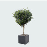 Product afbeelding 1